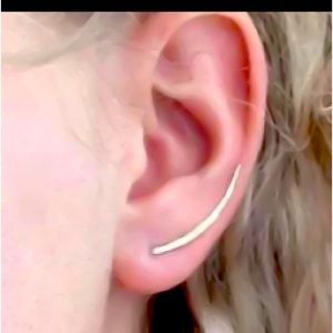 Sterling Silver Sweep Earrings Hand Made USA